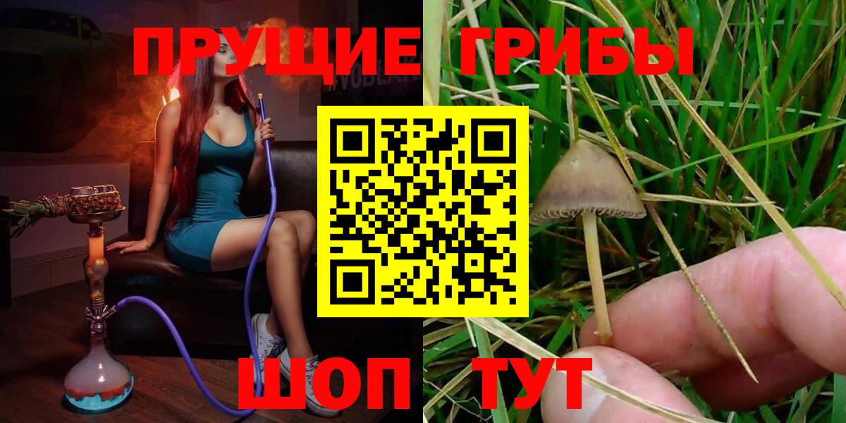 продажа наркотиков  Галлюциногенные грибы ЛСД  Вход с VPN  Элиста 